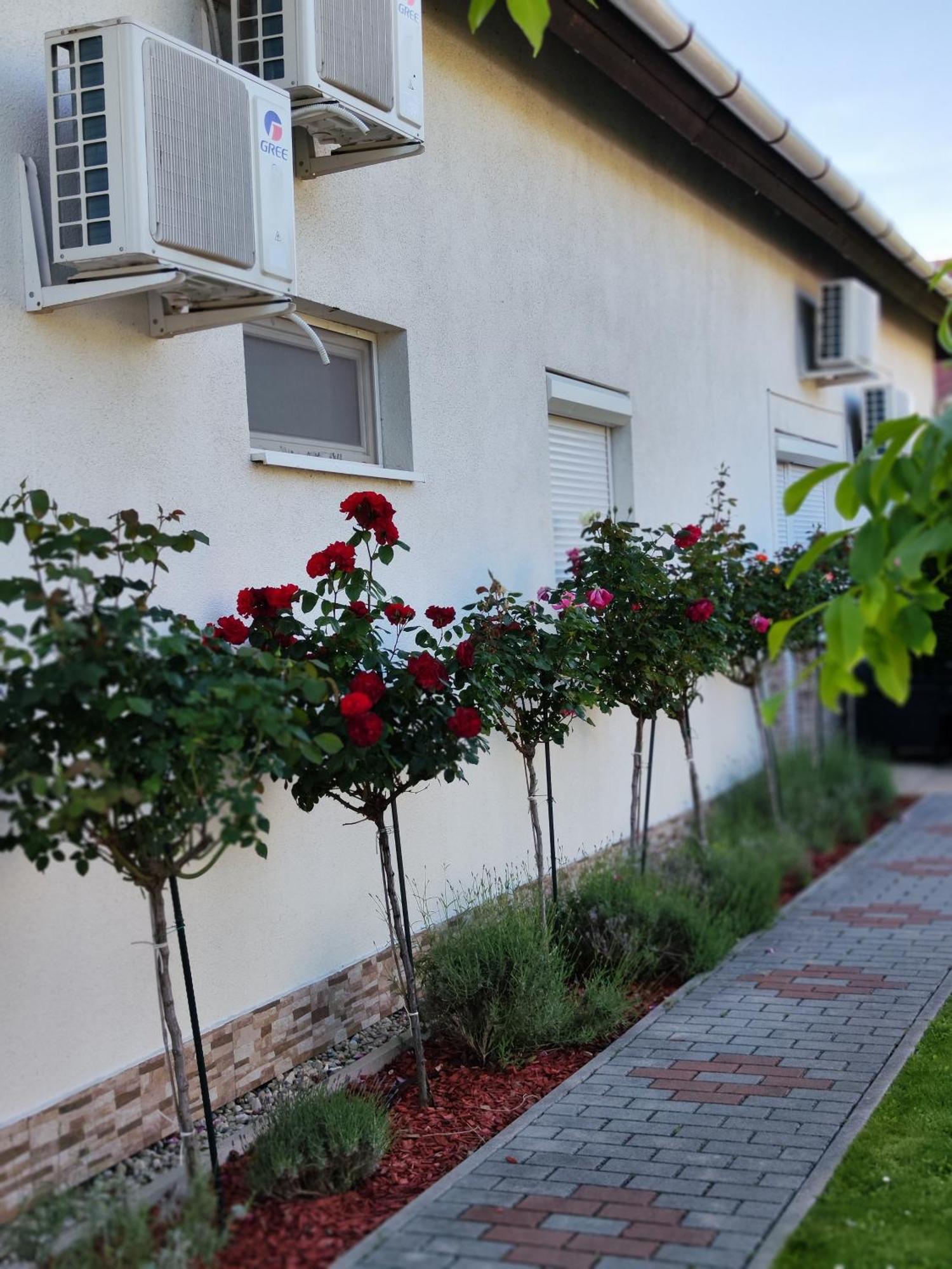 Apartmán Havasi Vendeghaz Gyenesdiás Exteriér fotografie
